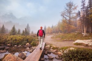 Best Hikes in Big Bear: Local Favorites for Scenic Adventures